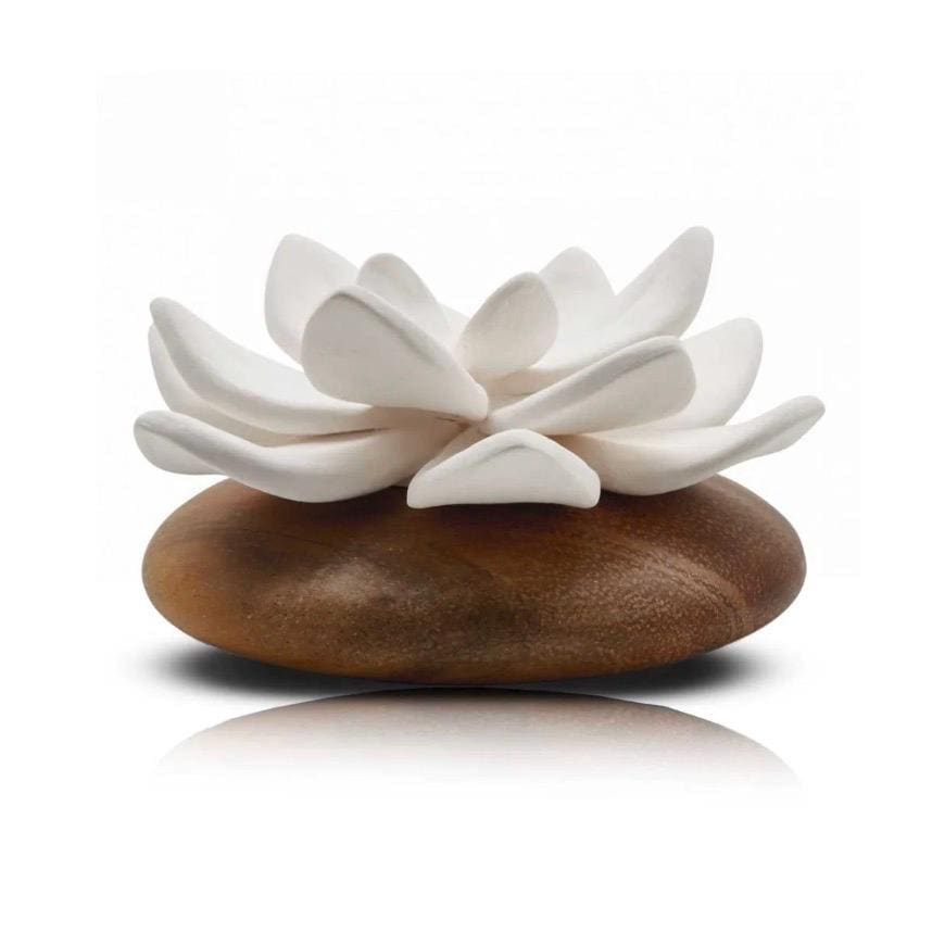 Acacia Wood Porcelain Flower Diffuser