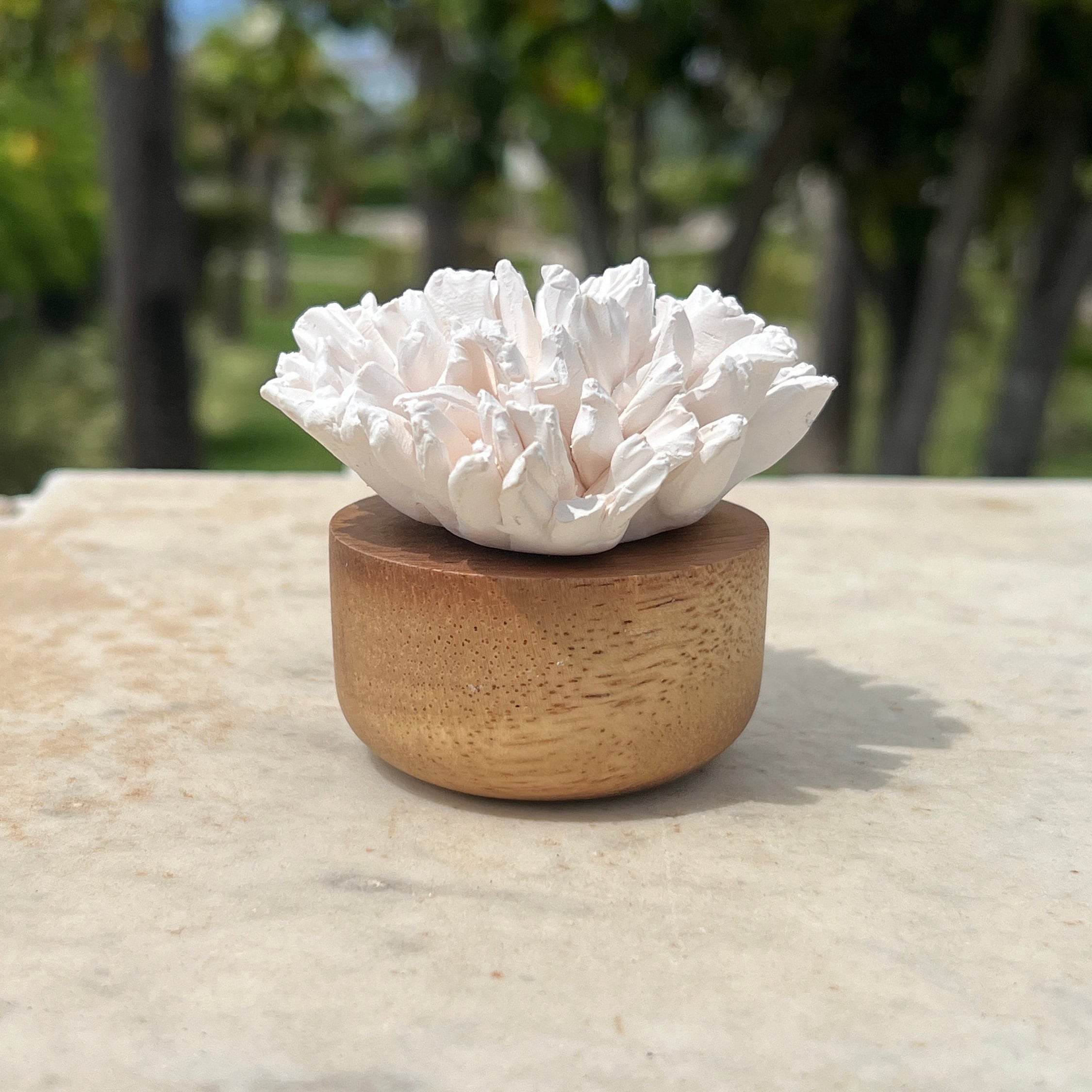 Oil Diffuser, Porcelain Diffuser Coral Flower, Wood Acacia Base With ...