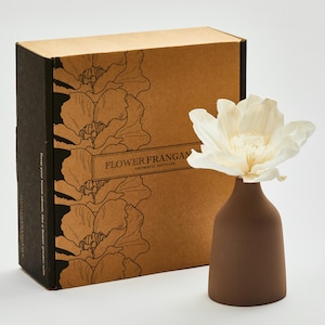 Diffusore di fragranze per la casa a diffusione capillare. Elegante e originale profumatore in ceramica e Sola. Diffusore aromatico naturale ecologico