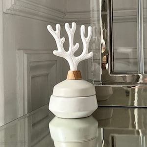 Aromatic ceramic fragrance diffuser with reservoir - CORAL Beige
