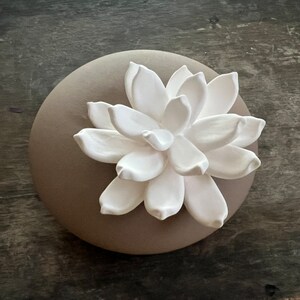 May include: A white ceramic succulent flower on a brown round base. The flower has multiple petals and is a decorative home accent.