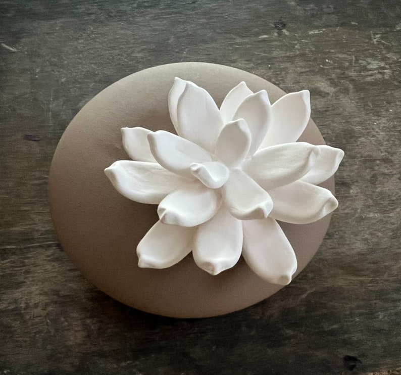 May include: A white ceramic succulent flower on a brown round base. The flower has multiple petals and is a decorative home accent.