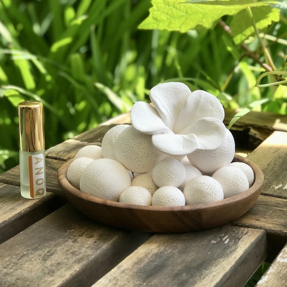 Diffuseur de parfum - Plateau à parfumer en bois avec décorations en céramique blanche à parfumer avec du parfum d’intérieur. Assainissant.