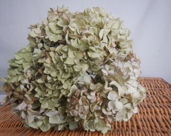 RoseEucalyptus LeavesLarkspurPurpleWhiteRedColorful BouquetGiftLoveBest FriendDatingSurprise Dried Flower Gift Bouquet