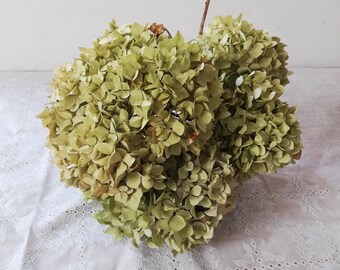 hydrangea  8 hydrangea flowers, Wedding bouquet, Dried flower,  Cottage decoration, Centerpiece, fleurs séchées