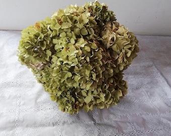 hydrangea   8 Dried white Hydrangea flowers, Wedding bouquet, Dried flower,Cottage decoration, Centerpiece,  fleurs séchées