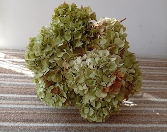 hydrangea   8 hydrangea flowers, Wedding bouquet, Dried flower,  Cottage decoration, Centerpiece, fleurs séchées