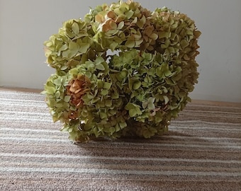 hydrangea  8 hydrangea flowers, Wedding bouquet, Dried flower,  Cottage decoration, Centerpiece, fleurs séchées