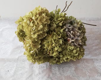 hydrangea     8 hydrangea flowers, Wedding bouquet, Dried flower,  Cottage decoration, Centerpiece, fleurs séchées