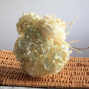Weiße Hortensien-Blumen, 8 Stück, Hochzeitsstrauß, Trockenblumen, Landhausdekoration, Fleurs séchées