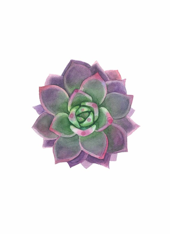 8X11 Watercolor Succulent Digital Illustration / Greenery Art | Etsy