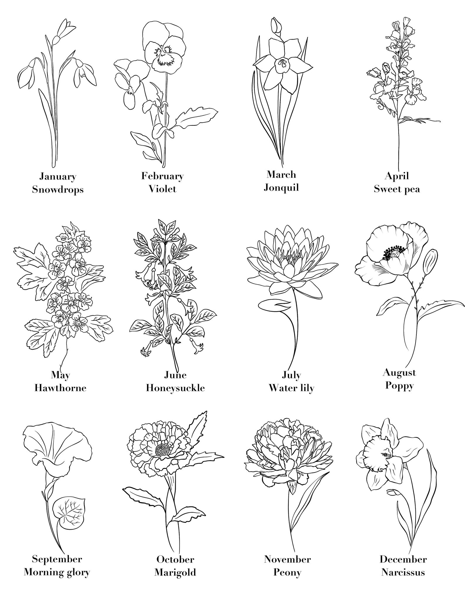 Personalised Birth Flower Print Botanical Printable Drawing Etsy Personalised Birth Flower Print Botanical Printable Drawing Etsy