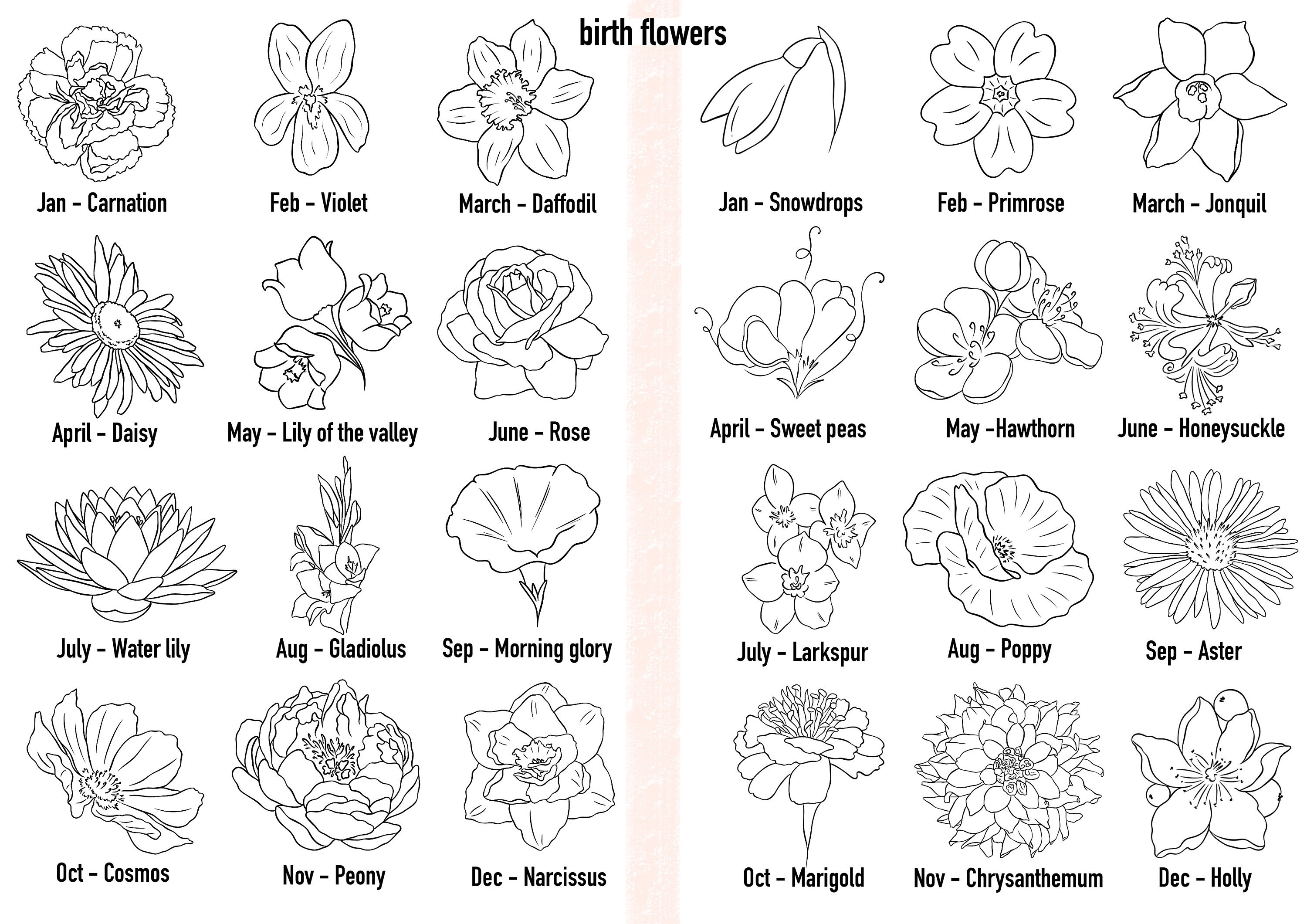 Birth Month Flowers Line Art Birth Flowers Svg Flowers Png Etsy