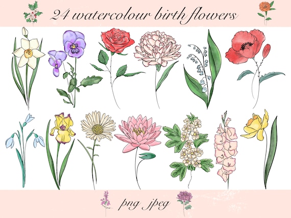 Watercolour Birth Flowers Clipart Flower Art Watercolour - Etsy