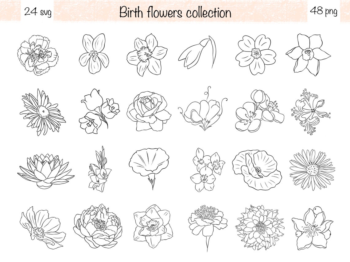 Birth Month Flowers Line Art Birth Flowers Svg Flowers Png Etsy