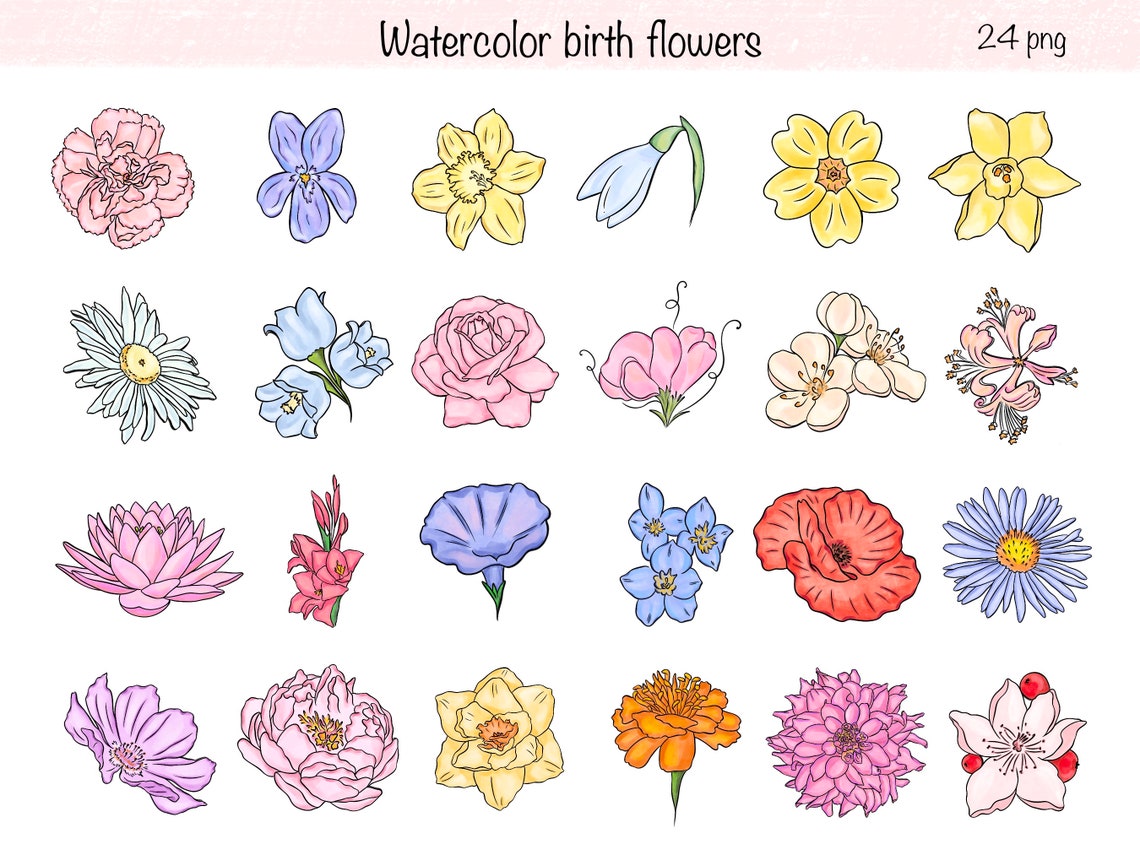Watercolor Birth Month Flowers Clipart Birth Flowers Png - Etsy
