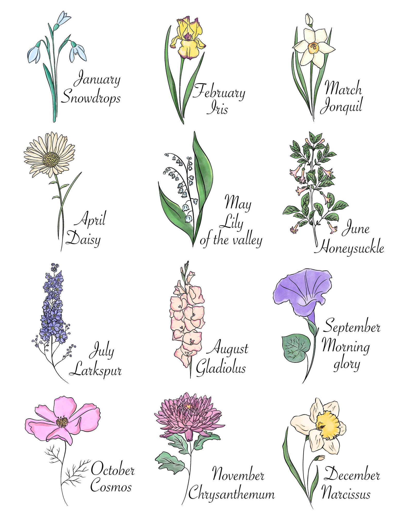 Watercolour Birth Flowers Clipart Flower Art Watercolour Etsy