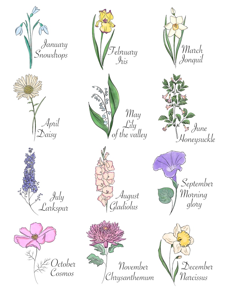 Watercolour Birth Flowers Clipart Flower Art Watercolour - Etsy