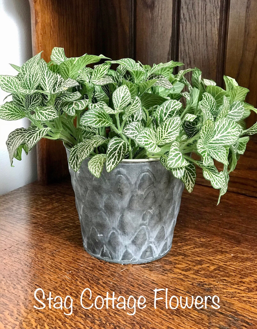Zinc Plant Pot, Rustic Planter, Plant Pot, Shabby Chic, Vintage Style