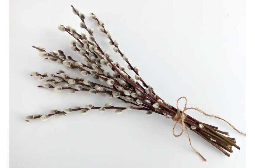 Купить Вербу Оптом На Авито В Перми