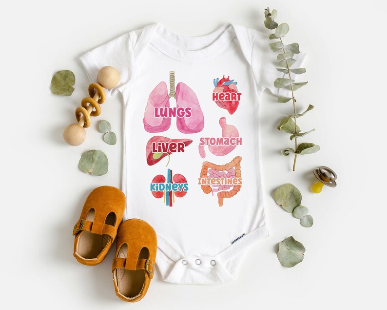 K&ouml;nnte beinhalten: Wei&szlig;er Baby-Strampler mit einer bunten Illustration der inneren Organe des menschlichen K&ouml;rpers, darunter Herz, Lunge, Leber, Magen, Darm und Nieren. Der Text 'LUNGS', 'HEART', 'LIVER', 'STOMACH', 'INTESTINES' und 'KIDNEYS' ist auf dem Strampler aufgedruckt.