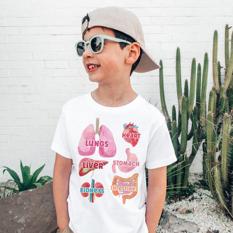 K&ouml;nnte beinhalten: Wei&szlig;es T-Shirt mit bunten Illustrationen von menschlichen Organen, darunter Lunge, Herz, Magen, Leber, Nieren und Darm. Der Text "LUNGS", "HEART", "STOMACH", "LIVER", "KIDNEYS" und "INTESTINES" ist auf dem Shirt aufgedruckt.