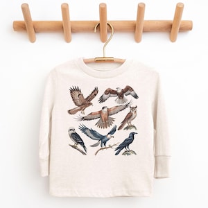 May include: A long-sleeved, cream-colored shirt featuring illustrations of various birds of prey, including eagles, hawks, and an owl. The birds are depicted in flight and perched on branches, with detailed feather patterns.