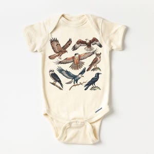 K&ouml;nnte beinhalten: Cremefarbener Baby-Body mit Illustrationen von Greifv&ouml;geln. Das Design zeigt verschiedene Arten von Falken, Adlern und Eulen in Braun-, Blau- und Schwarzt&ouml;nen. Der Body hat kurze &Auml;rmel und Druckkn&ouml;pfe. Ein charmantes und lehrreiches Kleidungsst&uuml;ck.