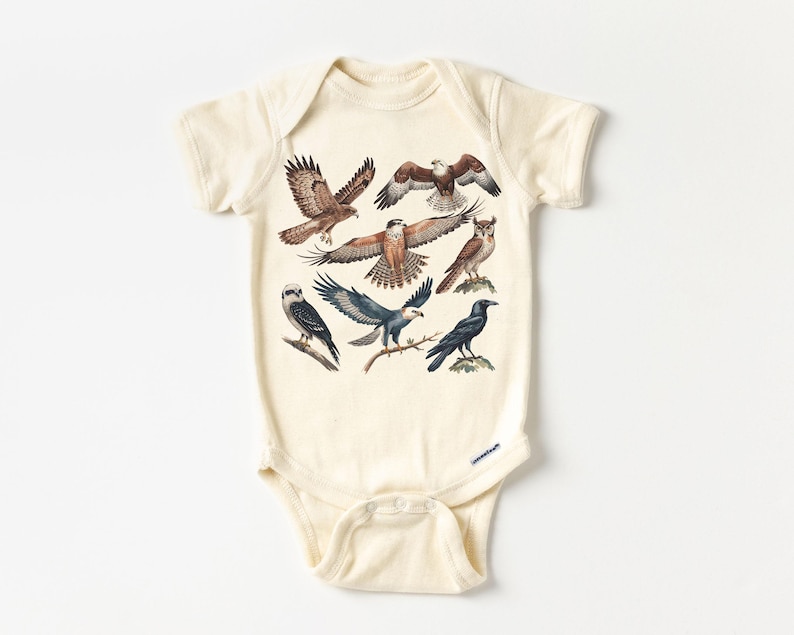 K&ouml;nnte beinhalten: Cremefarbener Baby-Body mit Illustrationen von Greifv&ouml;geln. Das Design zeigt verschiedene Arten von Falken, Adlern und Eulen in Braun-, Blau- und Schwarzt&ouml;nen. Der Body hat kurze &Auml;rmel und Druckkn&ouml;pfe. Ein charmantes und lehrreiches Kleidungsst&uuml;ck.