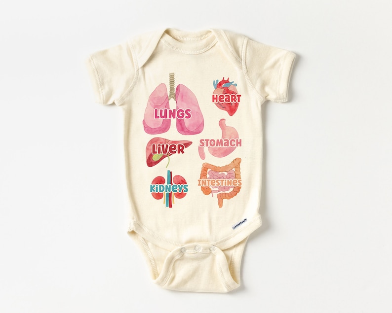 K&ouml;nnte beinhalten: Ein cremefarbener Baby-Strampler mit einer Aquarell-Illustration der menschlichen Organe. Die Organe sind mit den Worten "Herz", "Lunge", "Leber", "Magen", "Darm" und "Nieren" beschriftet.