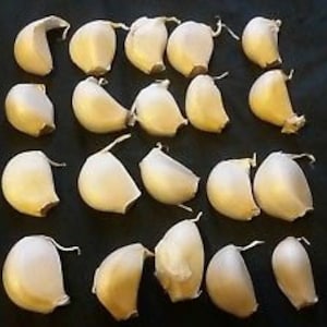 May include: A collection of approximately 20 white garlic cloves, arranged in rows on a black surface.