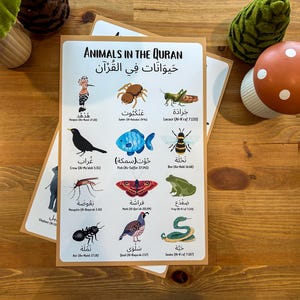 Póster de animales en el Corán en árabe / El más vendido