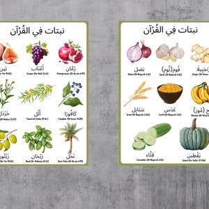 Las plantas en el Corán: paquete de carteles educativos para niños en árabe / Descarga digital /