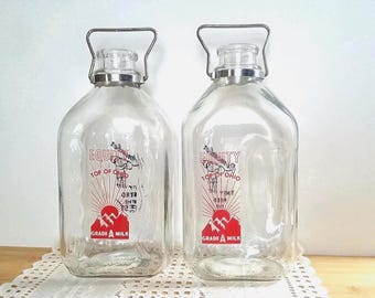 Vintage Glass Milk Bottle Equity Top of Ohio Half Gallon/Two Quarts Metal Handle, Dairy Collectibles