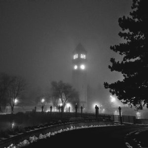 Der Nebel