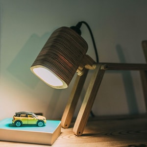 Lampada da scrivania a forma di cane, lampada da comodino, regalo di addio per collega, regalo di laurea in giurisprudenza, regalo di pensionamento per collega donna
