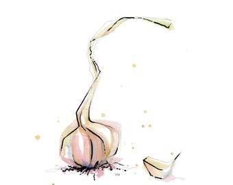 Funky Garlic – Watercolor Art Print