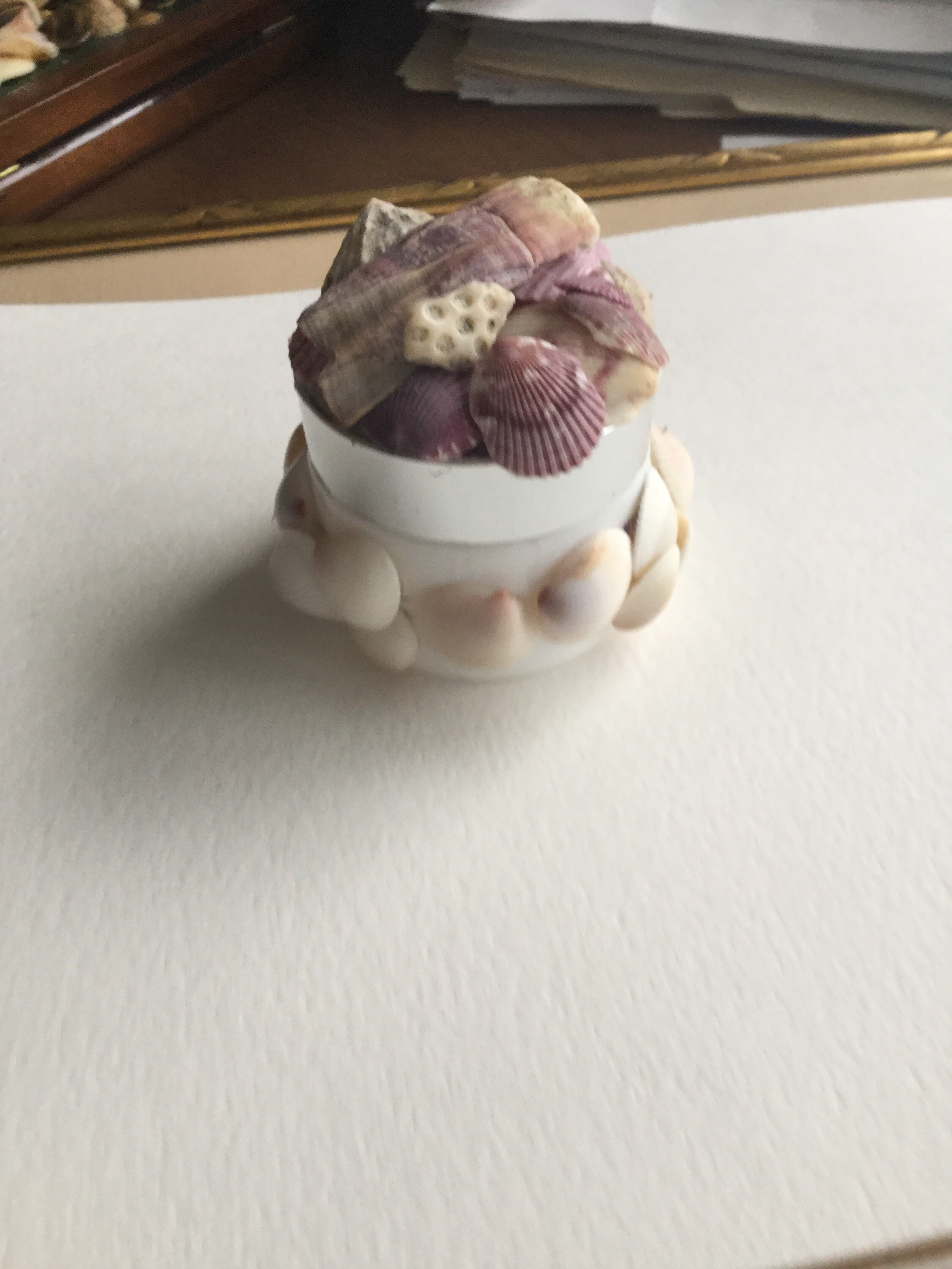 Shell Covered Container With Screw on Top Etsy UK