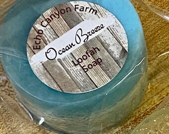 2 Loofah Glycerin Soaps/Loofah Soap Gift Set/Cherrie Roberts/ Echo Canyon Farm/ Coalinga California