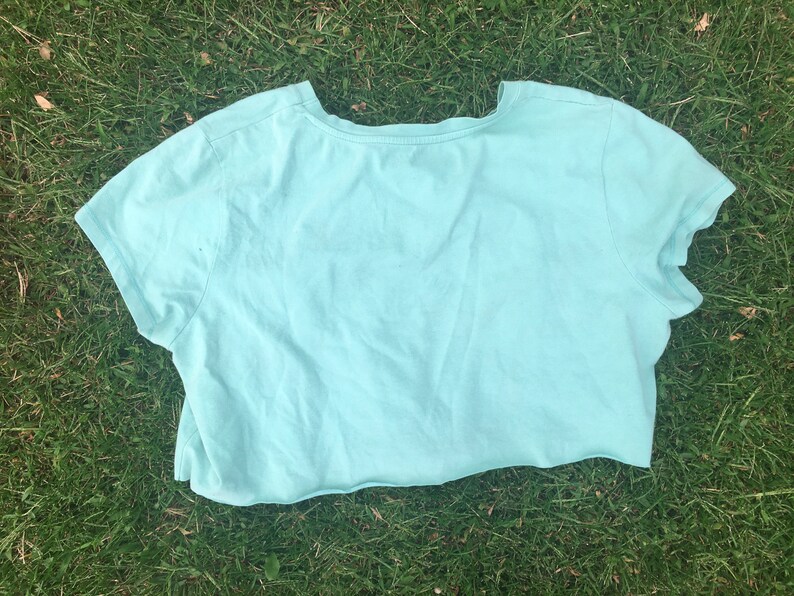 Strawberry Fields Crop Top