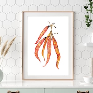 Rote heiße Chili-Pfeffer Küche Dekor Malerei Wand Poster Wandkunst, Aquarell Restaurant Koch Druck Gemüse druckbare, Gemüse Zeichnung