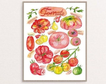May include: Watercolor painting of different types of tomatoes, including Roma, Marmande, Plum, Cherry, and Green Zebra. The painting is labeled "Tomato" and includes the names of each variety.