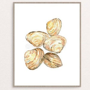 May include: Watercolor painting of five beige clam shells with brown and white markings. The shells are arranged in a cluster, with some overlapping.