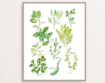 Watercolor Herbs Print, Botanical Kitchen Decor Poster