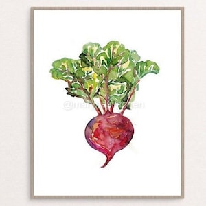 Puede incluir: Pintura acuarela de una remolacha con hojas verdes. La remolacha es de color rojo oscuro y las hojas son de un verde vibrante.