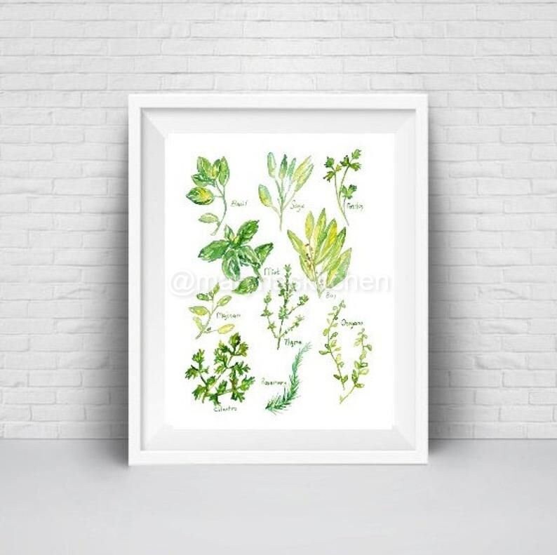 Types of Herbs Wall Poster Watercolor Spice Kitchen Parsley Decor ...