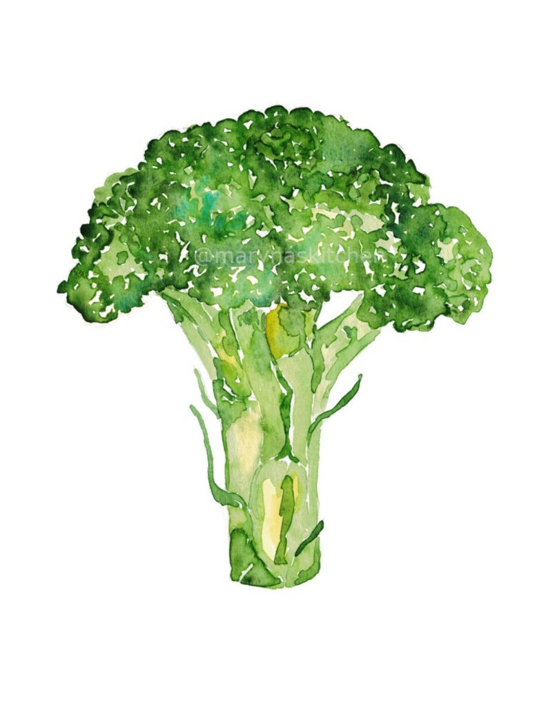 Broccoli Kitchen Decor Painting Kitchen Wall Art Watercolor Etsy