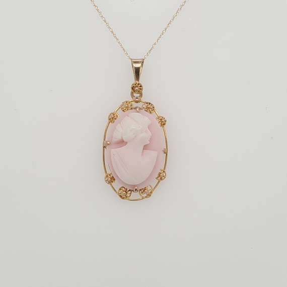 Vintage 10k Gold Cameo and Chain - image 1