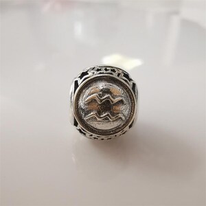 pandora zodiac star sign silver charm all 12 horoscope Aquarius