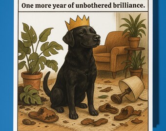 Fine Art Funnies Collection - Black Retriever - Happy Birthday Card - Premium Greeting Card and Envelope - Personalised funny card - Friend